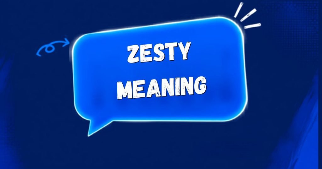  zesty meaning slang