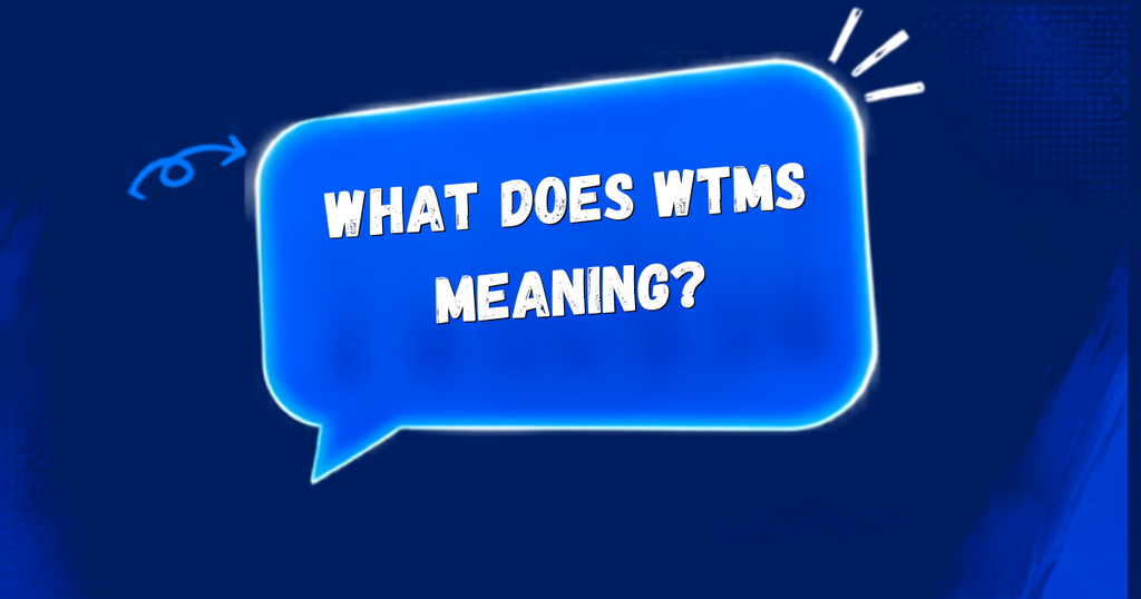 WTMS Meaning in text